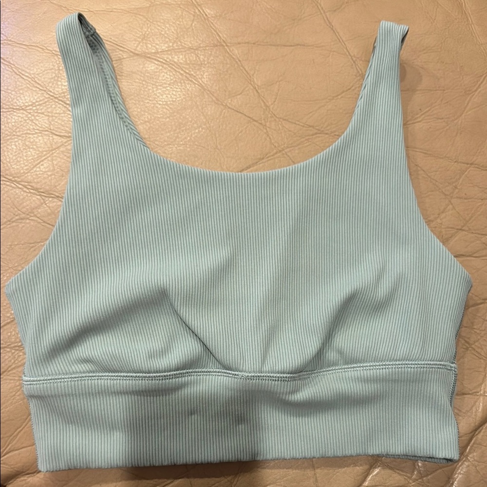 Aerie Ribbed Sports Bra in Light Blue